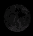 Lunar Cycles Spin