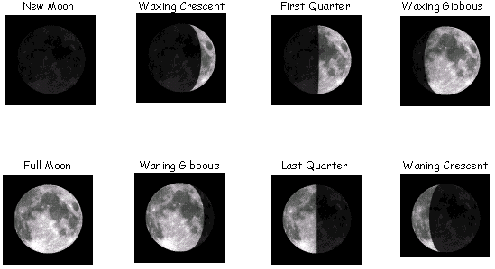 Lunar Phases